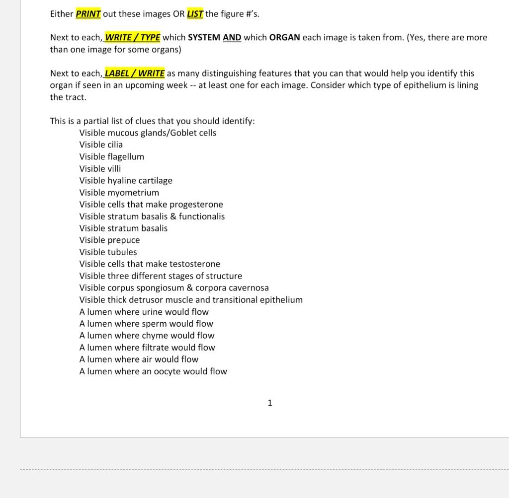 Either Print Out These Images Or List The Figure S Next To Each Write Type Which System And Which Organ Each Image 1