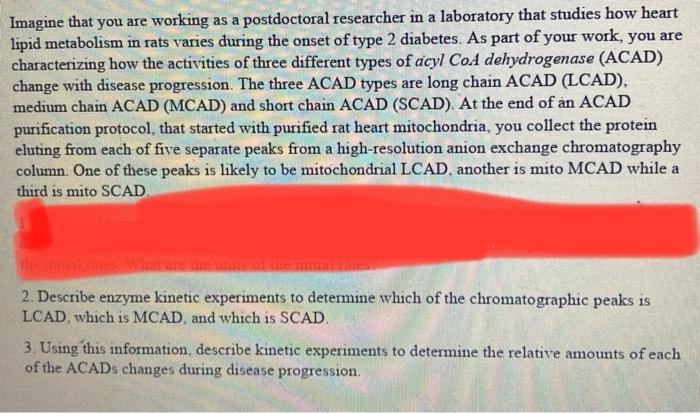 Imagine That You Are Working As A Postdoctoral Researcher In A Laboratory That Studies How Heart Lipid Metabolism In Rat 1