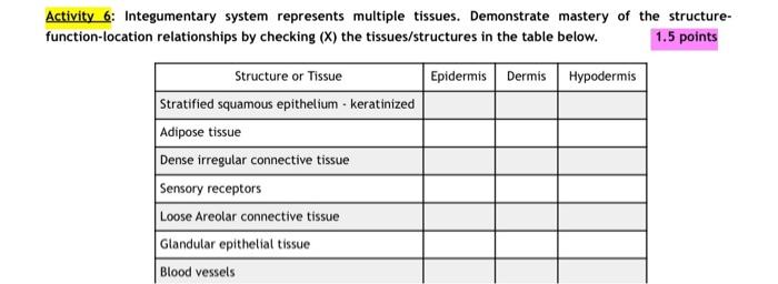 Activity 6 Integumentary System Represents Multiple Tissues Demonstrate Mastery Of The Structure Function Location Re 1