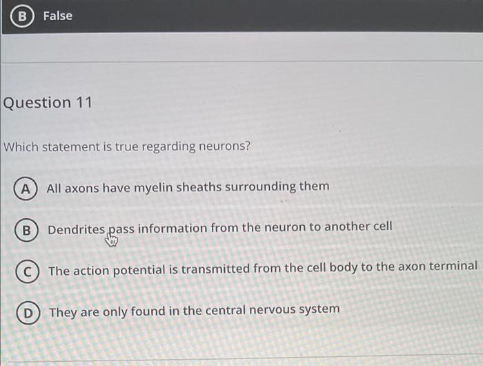 B False Question 11 Which Statement Is True Regarding Neurons A All Axons Have Myelin Sheaths Surrounding Them B Dendr 1