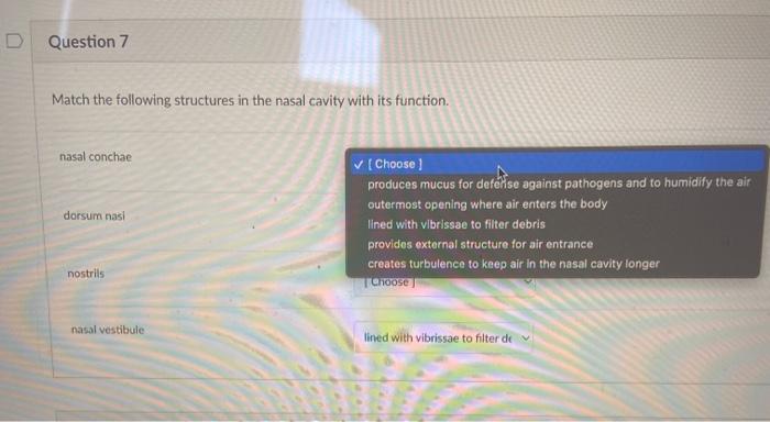 D Question 7 Match The Following Structures In The Nasal Cavity With Its Function Nasal Concha Dorsum Nasi Choose Pro 1