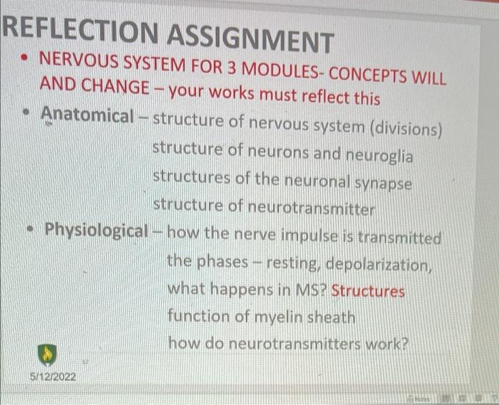 Reflection Assignment Nervous System For 3 Modules Concepts Will And Change Your Works Must Reflect This Anatomic 1
