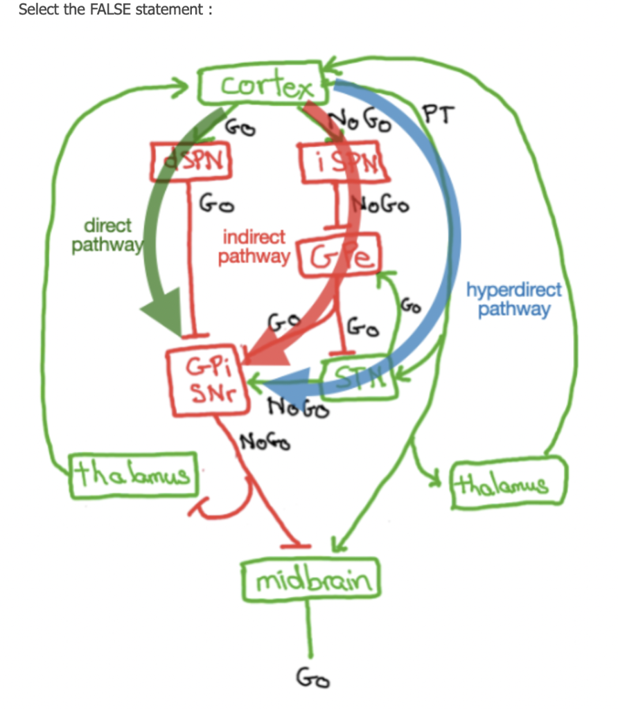 Select The False Statement Cortex Go Spn Go Nogo Indirect Pathway Ge No Go Pt Ispn Direct Pathway Hyperdirect Path 1