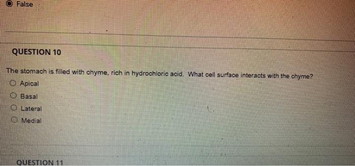 False Question 10 The Stomach Is Filled With Chyme Rich In Hydrochloric Acid What Cell Surface Interacts With The Chym 1