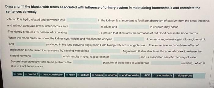Drag And Fill The Blanks With Terms Associated With Influence Of Urinary System In Maintaining Homeostasis And Complete 1