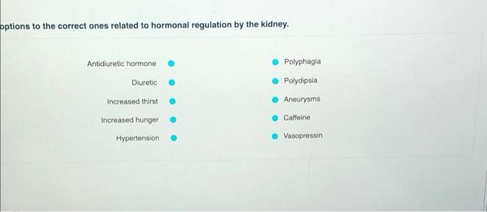 Options To The Correct Ones Related To Hormonal Regulation By The Kidney Antidiuretic Hormone Diuretic Increased Thirst 1