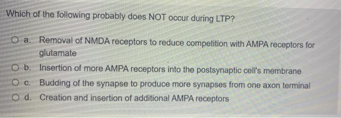 Which Of The Following Probably Does Not Occur During Ltp A Removal Of Nmda Receptors To Reduce Competition With Ampa 1