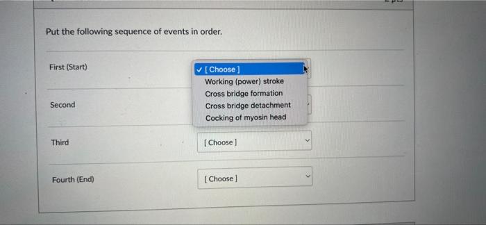 Put The Following Sequence Of Events In Order First Start Choose Working Power Stroke Cross Bridge Formation Cro 1