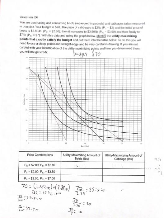 Question 06 You Are Purchasing And Consuming Beets Measured In Pounds And Cabbages Also Measured In Pounds Your Bud 1