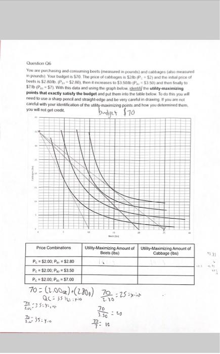 Question 06 You Are Purchasing And Consuming Beets Measured In Pounds And Cabbages Also Measured In Pounds Your Bud 3