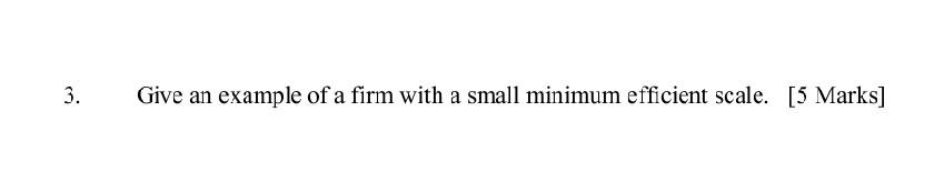 3 Give An Example Of A Firm With A Small Minimum Efficient Scale 5 Marks 1