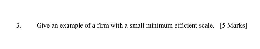 3 Give An Example Of A Firm With A Small Minimum Efficient Scale 5 Marks 1