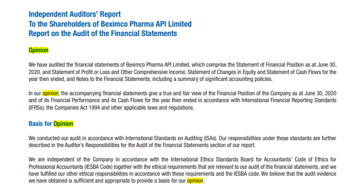 Independent Auditors Report To The Shareholders Of Beximco Pharma Api Limited Report On The Audit Of The Financial Stat 1