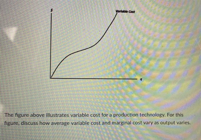 Variable Cost The Figure Above Illustrates Variable Cost For A Production Technology For This Figure Discuss How Ave 1