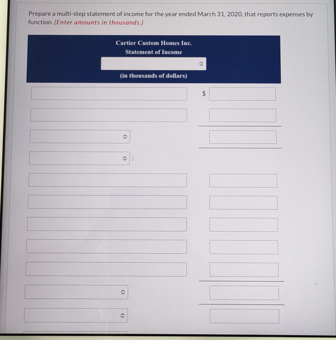 Prepare A Multi Step Statement Of Income For The Year Ended March 31 2020 That Reports Expenses By Function Enter Am 1