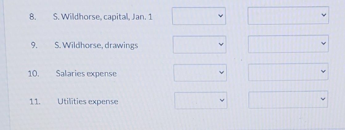 8 S Wildhorse Capital Jan 1 9 S Wildhorse Drawings 10 Salaries Expense 11 Utilities Expense 8 S Wildhors 3