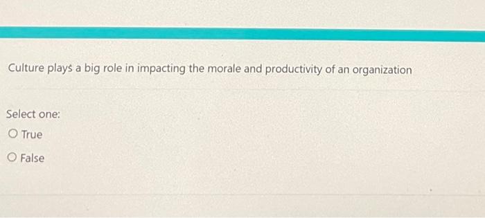 Culture Plays A Big Role In Impacting The Morale And Productivity Of An Organization Select One True O False 1