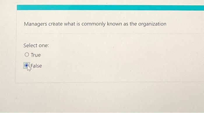 Managers Create What Is Commonly Known As The Organization Select One True False 1