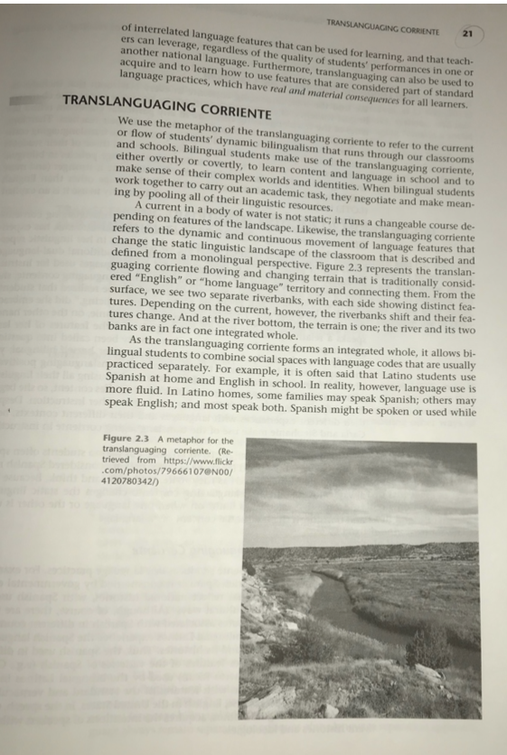 Question Explain How Teachers Can Use Translanguaging In Different Types Of Classroom Contexts Please Provide Examples 26