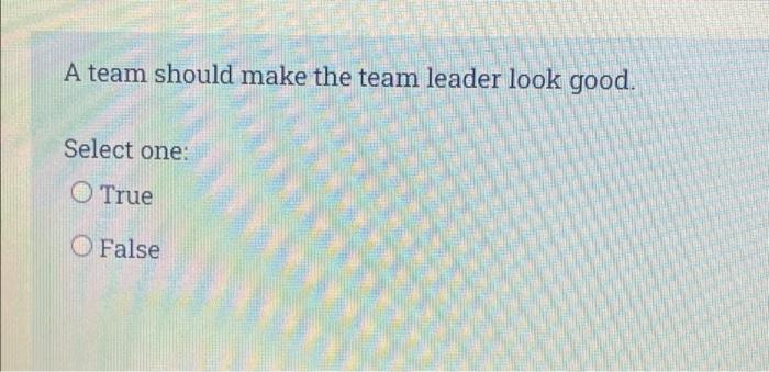 A Team Should Make The Team Leader Look Good Select One True O False 1