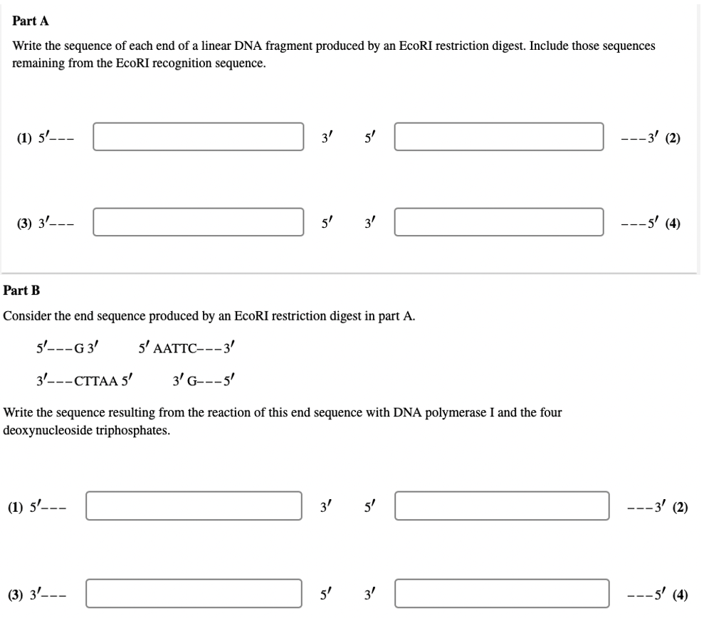 Part A Write The Sequence Of Each End Of A Linear Dna Fragment Produced By An Ecori Restriction Digest Include Those Se 1