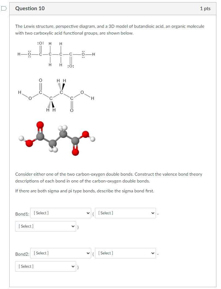 Question 10 1 Pts The Lewis Structure Perspective Diagram And A 3d Model Of Butandioic Acid An Organic Molecule With 1