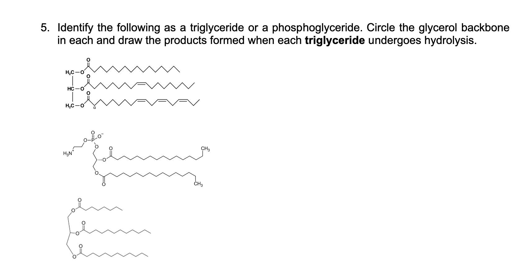 5 Identify The Following As A Triglyceride Or A Phosphoglyceride Circle The Glycerol Backbone In Each And Draw The Pro 1