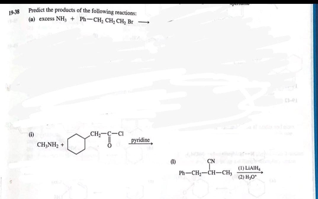 Pour 19 38 Predict The Products Of The Following Reactions A Excess Nh3 Ph Ch Ch Ch Br I Ch2 C C1 Pyridine C 1