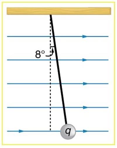 8 B 1