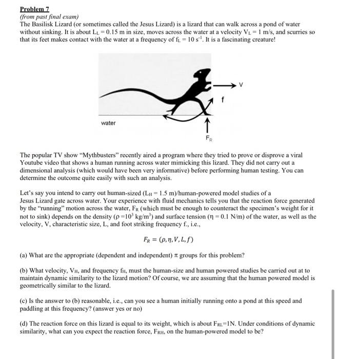 Problem Z From Past Final Exam The Basilisk Lizard Or Sometimes Called The Jesus Lizard Is A Lizard That Can Walk Ac 1