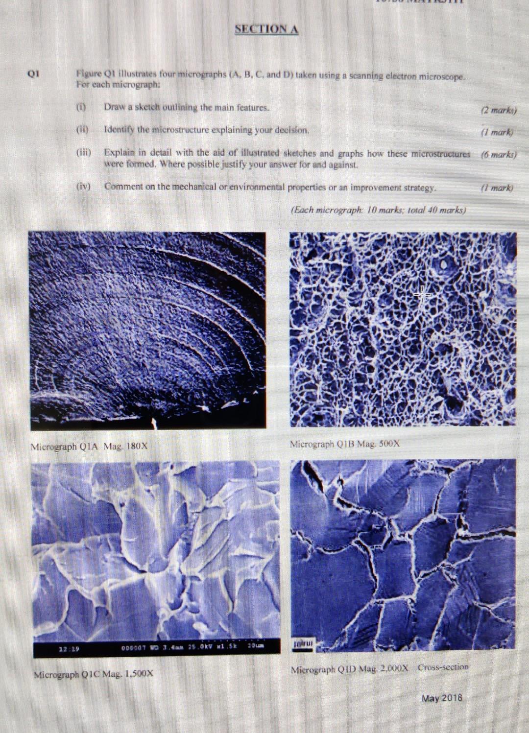 Section A 01 Figure Ol Illustrates Four Micrographs A B C And D Taken Using A Scanning Electron Microscope For Each 1