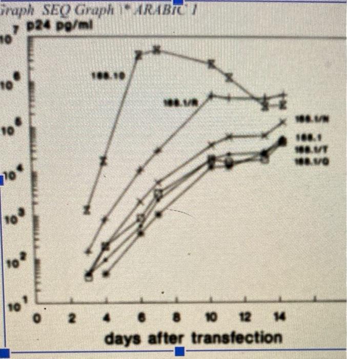 Graph Seq Graph 1 Arabic P24 Pg Ml 10 Sod 8 Vi Vo 70 10 2 4 6 8 10 12 Days After Transfection Si Phenotype Char 1