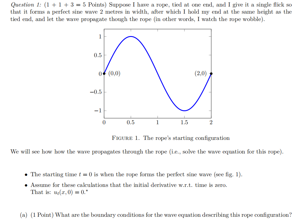 Question 1 1 1 3 5 Points Suppose I Have A Rope Tied At One End And I Give It A Single Flick So That It Forms 1