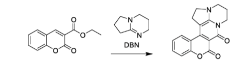 Dbn 1