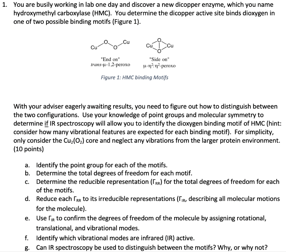 1 You Are Busily Working In Lab One Day And Discover A New Dicopper Enzyme Which You Name Hydroxymethyl Carboxylase H 1
