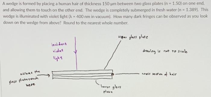 A Wedge Is Formed By Placing A Human Hair Of Thickness 150 Um Between Two Glass Plates N 1 50 On One End And Allowi 1