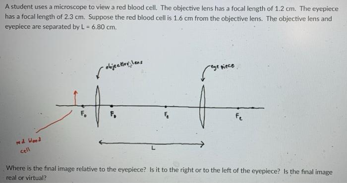 A Student Uses A Microscope To View A Red Blood Cell The Objective Lens Has A Focal Length Of 1 2 Cm The Eyepiece Has 1