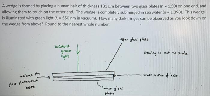 A Wedge Is Formed By Placing A Human Hair Of Thickness 181 Um Between Two Glass Plates N 1 50 On One End And Allowi 1