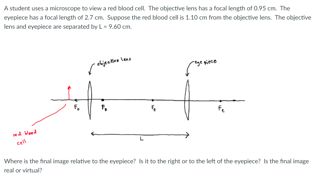 A Student Uses A Microscope To View A Red Blood Cell The Objective Lens Has A Focal Length Of 0 95 Cm The Eyepiece Has 1