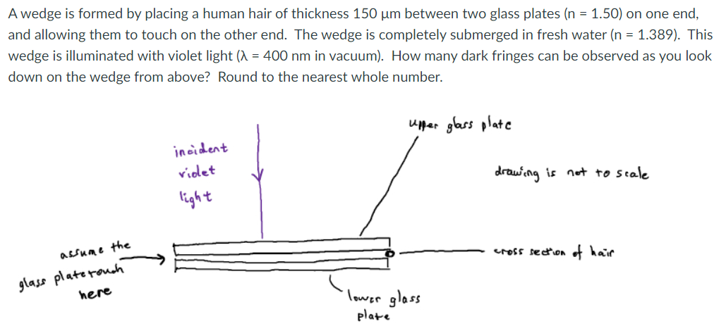 A Wedge Is Formed By Placing A Human Hair Of Thickness 150 Um Between Two Glass Plates N 1 50 On One End And Allowi 1