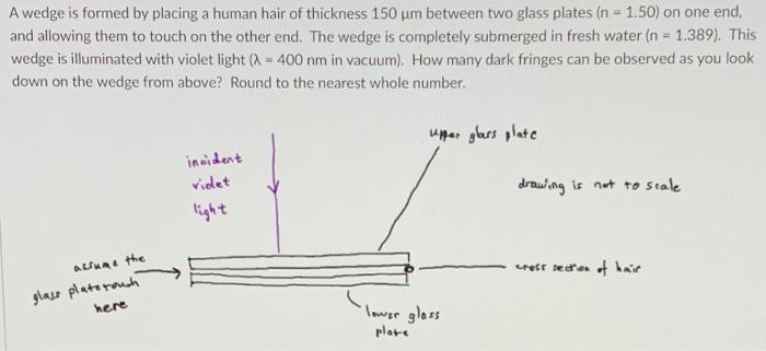 A Wedge Is Formed By Placing A Human Hair Of Thickness 150 Um Between Two Glass Plates N 1 50 On One End And Allowi 1