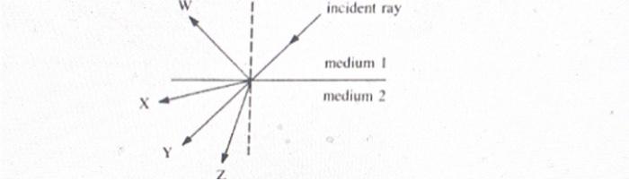 X Incident Ray Medium I Medium 2 1