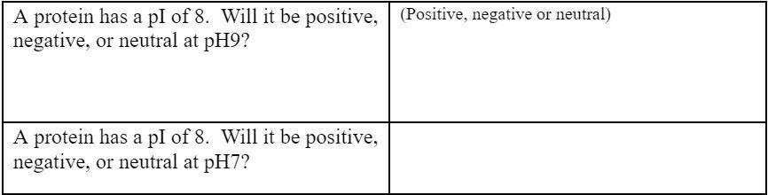 A Protein Has A Pi Of 8 Will It Be Positive Positive Negative Or Neutral Negative Or Neutral At Ph9 A Protein Has 1