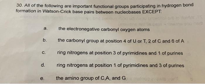 30 All Of The Following Are Important Functional Groups Participating In Hydrogen Bond Formation In Watson Crick Base P 1