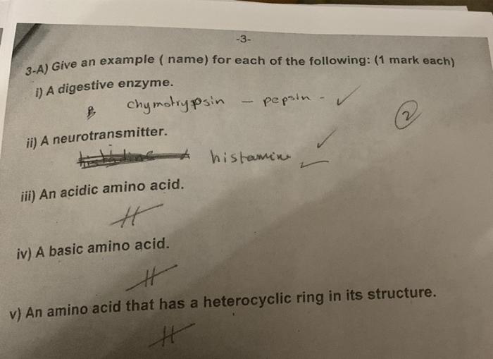 3 3 A Give An Example Name For Each Of The Following 1 Mark Each 1 A Digestive Enzyme Chymotrypsin Pepsin Ii 1