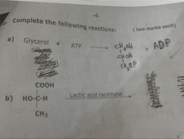 Complete The Following Reactions Two Marks Each A Glycerol Atp Ch Oh Adp Ch Oh Chop Cooh Diamante Lactic Acid Rac 1