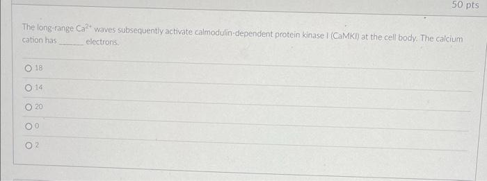 50 Pts The Long Range Cat Waves Subsequently Activate Calmodulin Dependent Protein Kinase 1 Camki At The Cell Body Th 1
