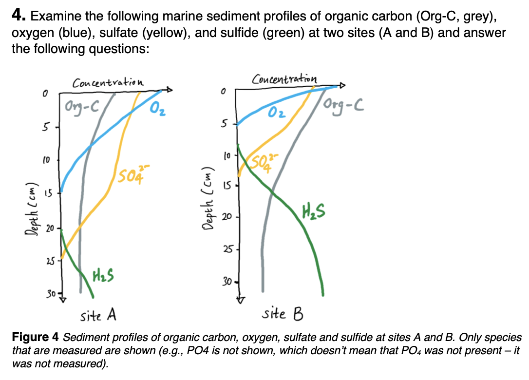 4 Examine The Following Marine Sediment Profiles Of Organic Carbon Org C Grey Oxygen Blue Sulfate Yellow And 1