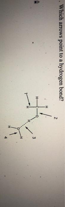 Which Arrows Point To A Hydrogen Bond 2 N 3 1