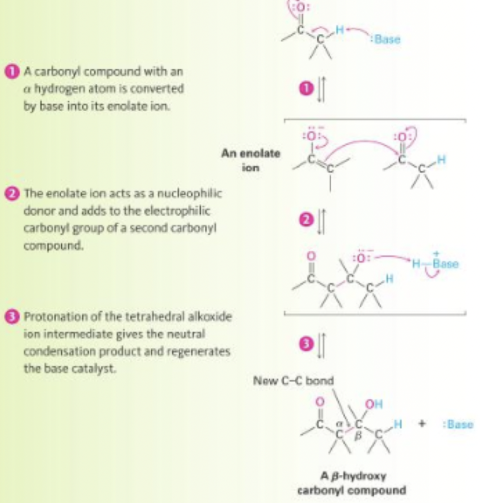 Base A Carbonyl Compound With An A Hydrogen Atom Is Converted By Base Into Its Enolate Ion An Enolate Ion The Enolate I 1
